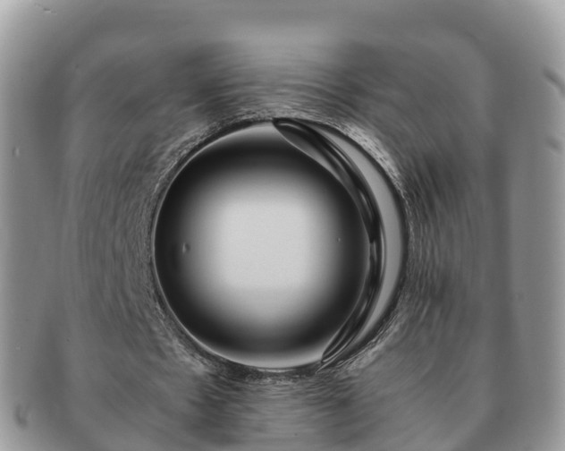 X0000091180481200708161521