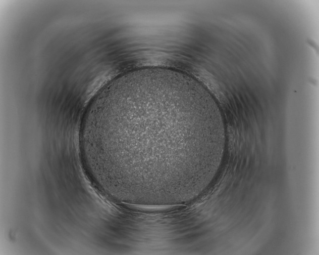 X0000091180482200708161521