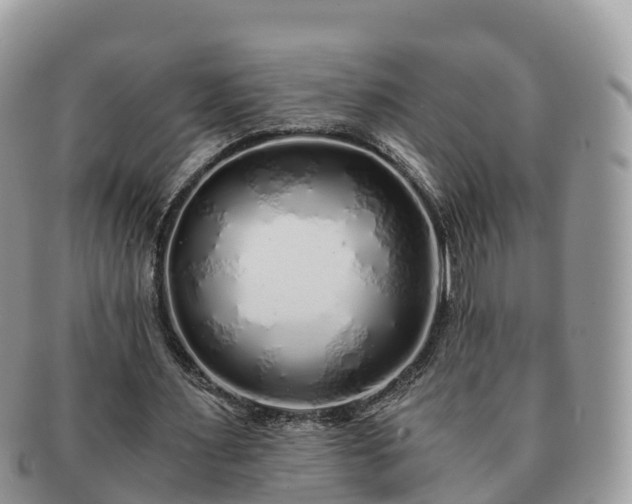 X0000091180483200708161521