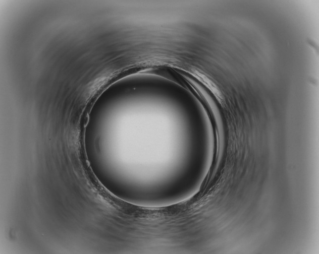 X0000091180485200708161521
