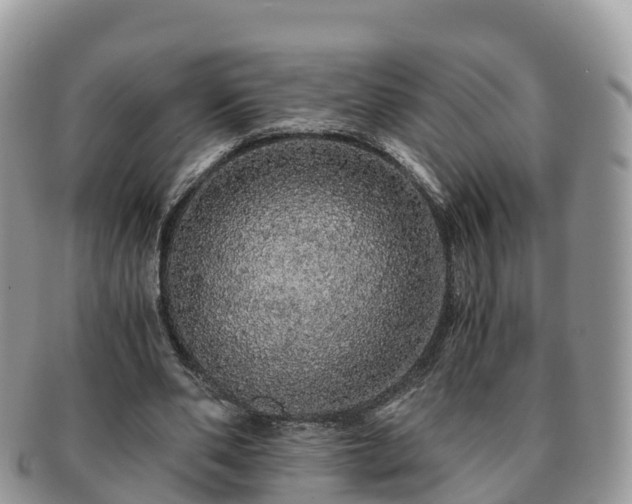 X0000091180486200708161521
