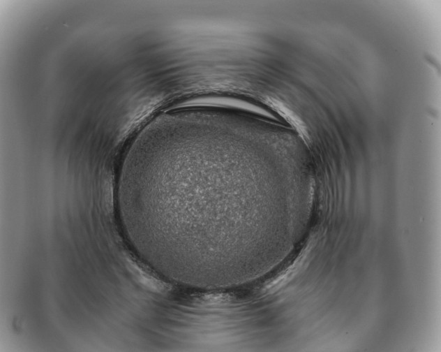 X0000091180493200708161521