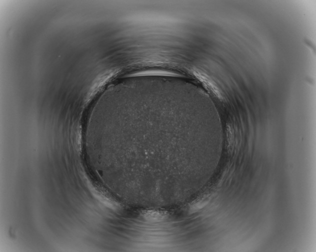 X0000091180494200708161521