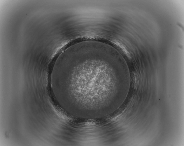 X0000091180496200708161520