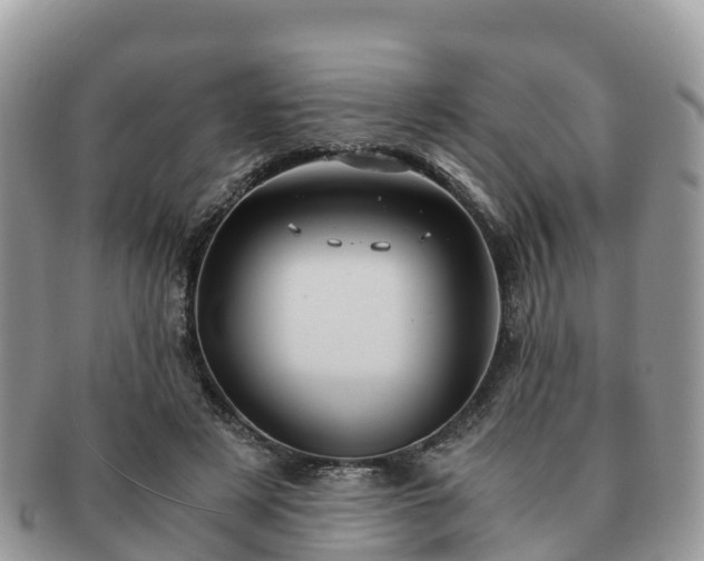 X0000091180497200708161520