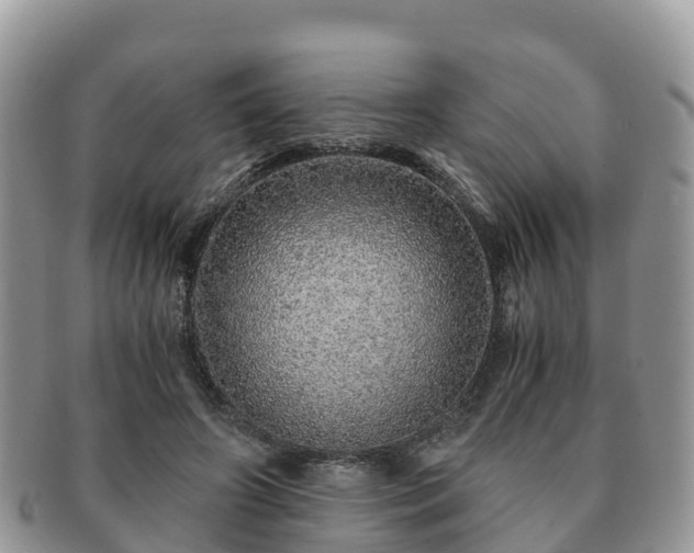 X0000091180498200708161520