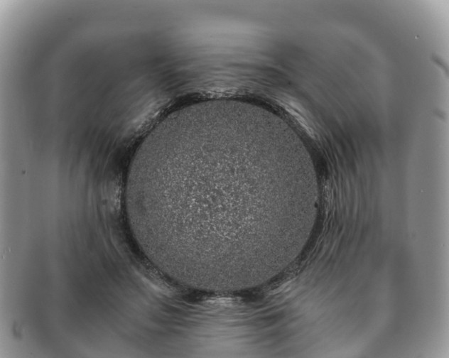 X0000091180499200708161520