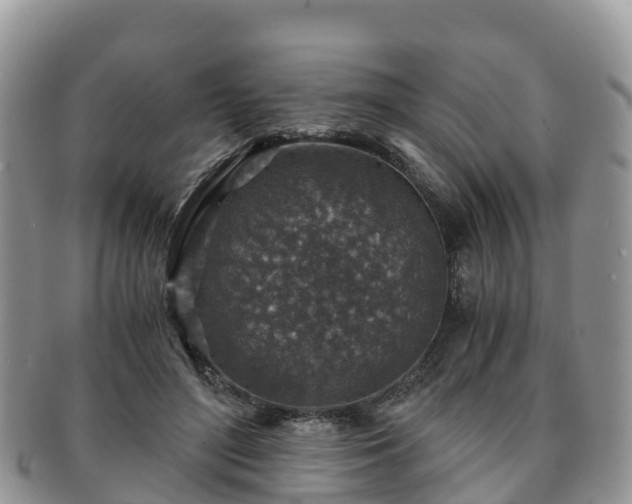 X0000091180500200708161520