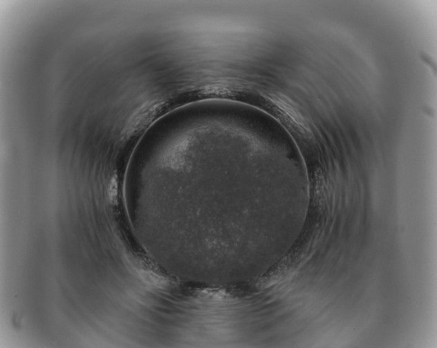 X0000091180502200708161520
