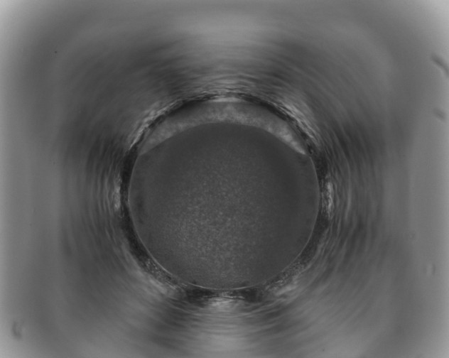 X0000091180504200708161520