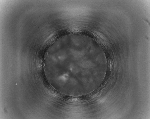 X0000091180507200708161520