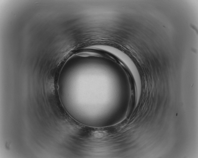 X0000091180508200708161520