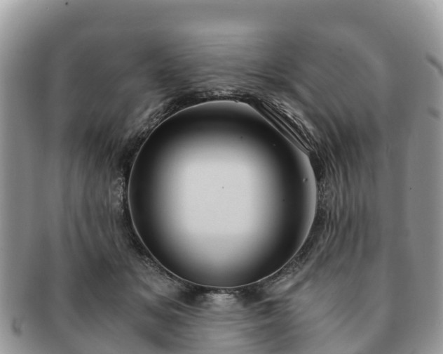 X0000091180509200708161520