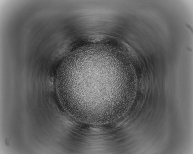 X0000091180510200708161520