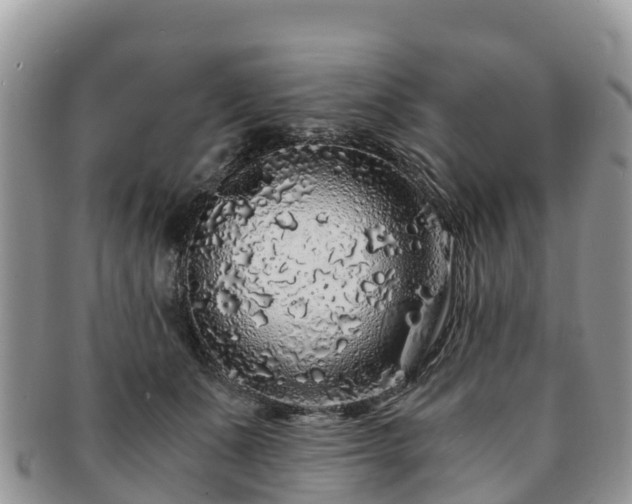 X0000091180511200708161520
