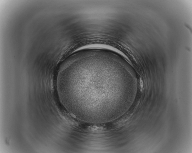 X0000091180512200708161520