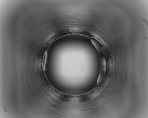 X0000091180513200708161520