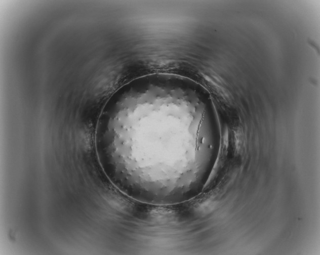 X0000091180515200708161520