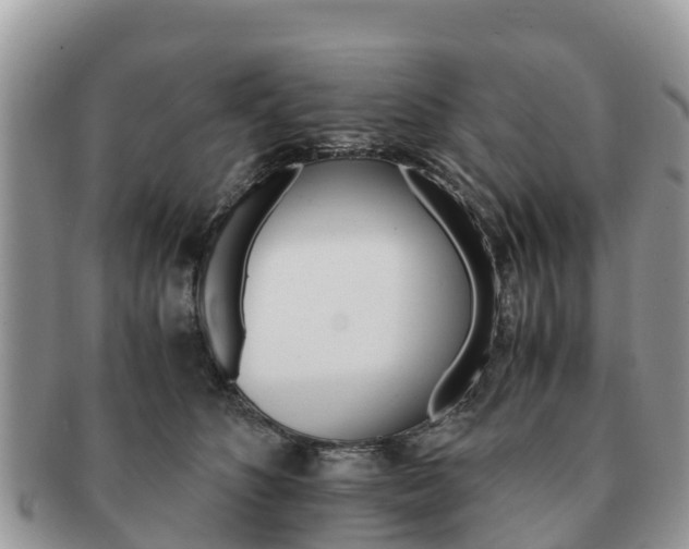 X0000091180516200708161520