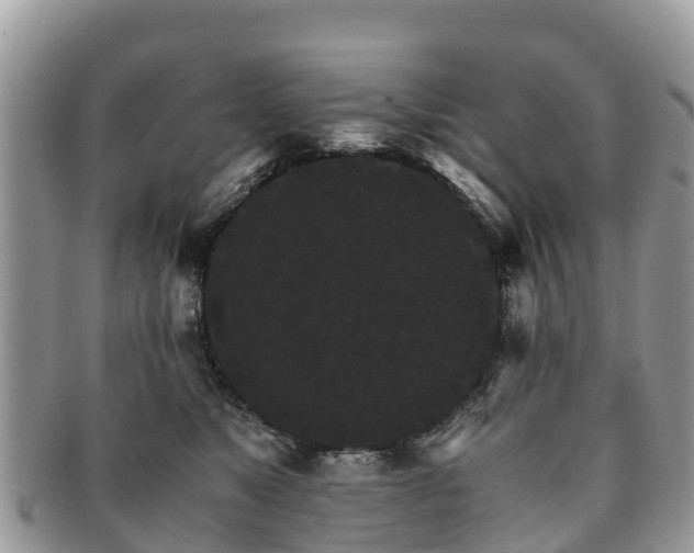 X0000091180517200708161520
