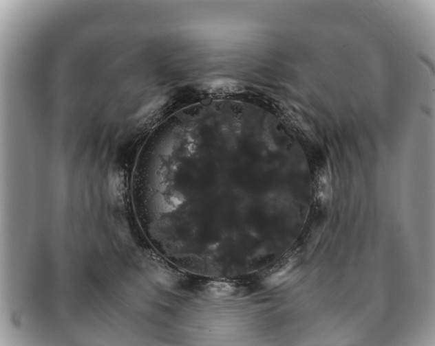 X0000091180519200708161520