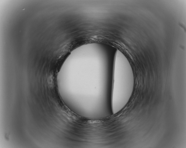 X0000091180520200708161520