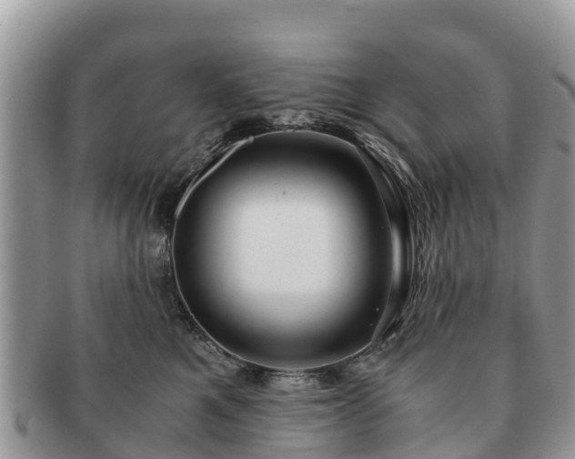 X0000091180521200708161520