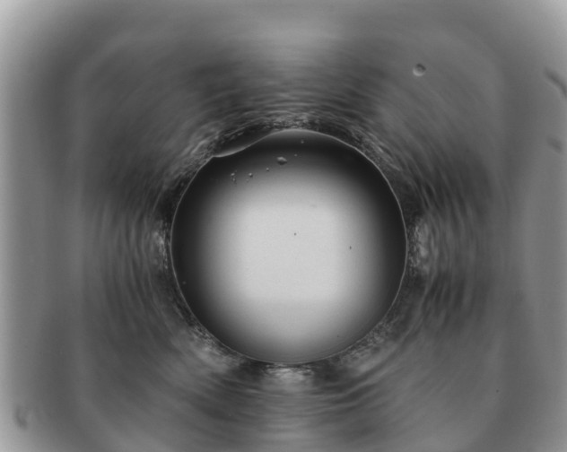 X0000091180522200708161520