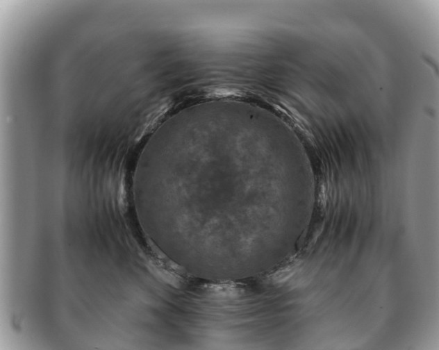 X0000091180524200708161520