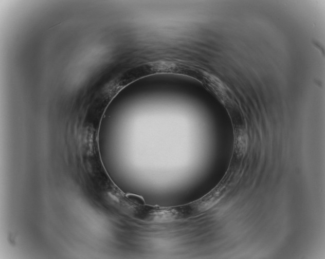 X0000091180525200708161520