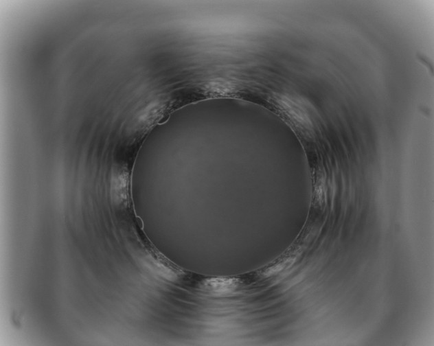X0000091180526200708161520