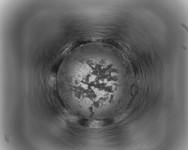 X0000091180527200708161520