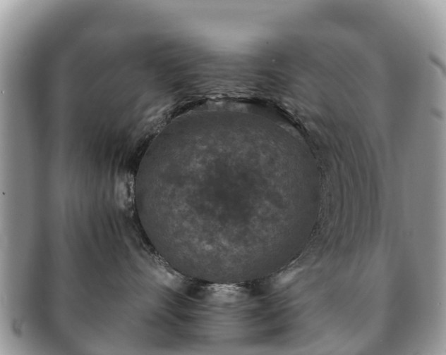 X0000091180528200708161520