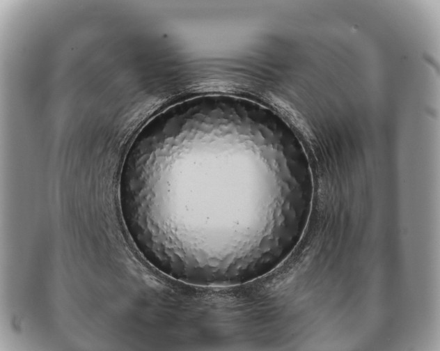 X0000091180529200708161519