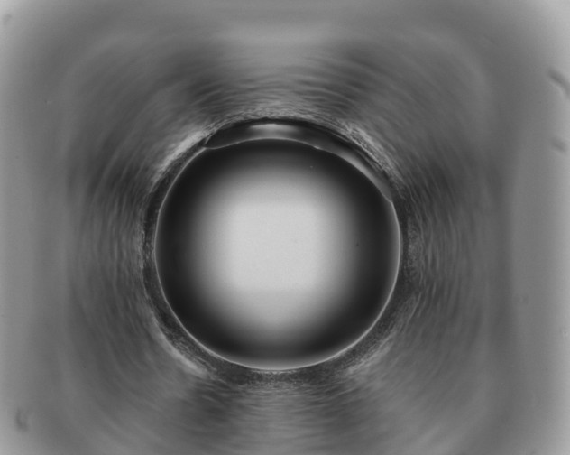 X0000091180530200708161519