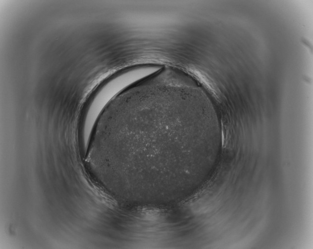 X0000091180531200708161519