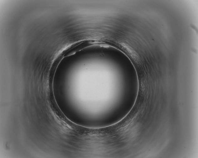 X0000091180532200708161519