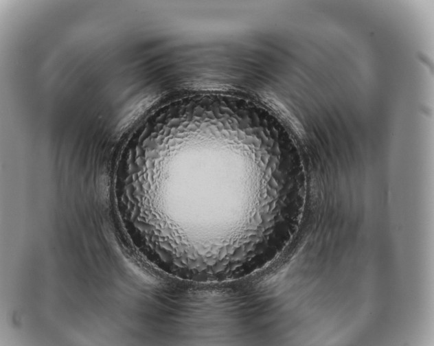 X0000091180533200708161519