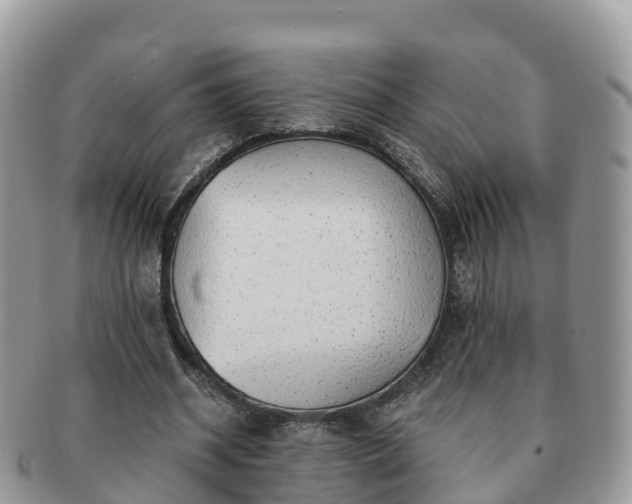 X0000091180534200708161519