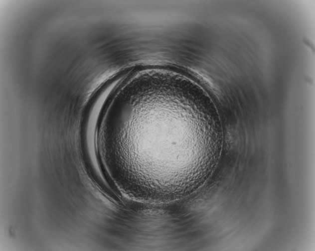 X0000091180535200708161519
