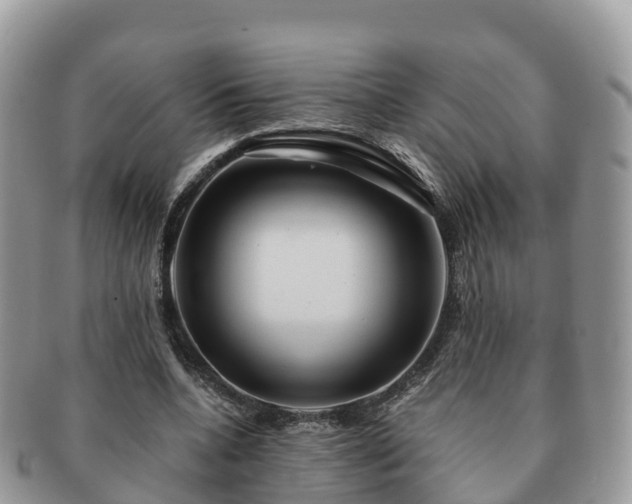 X0000091180536200708161519