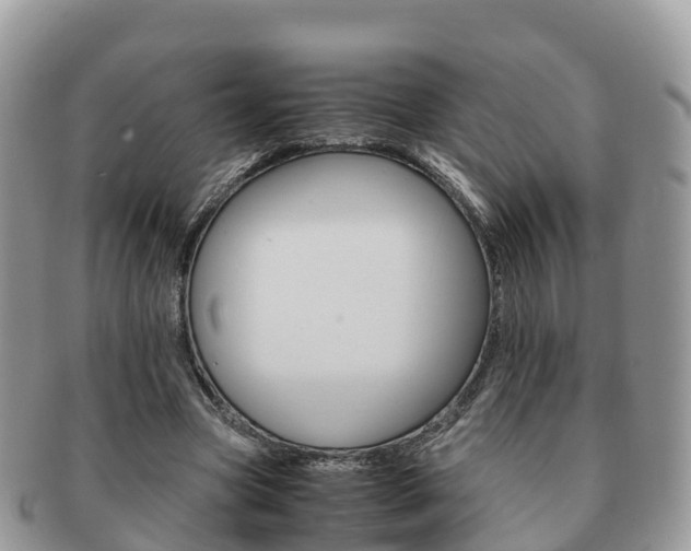 X0000091180537200708161519