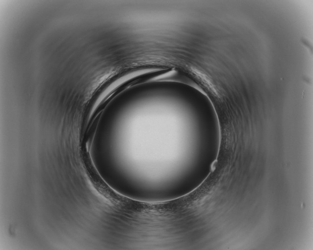 X0000091180538200708161519