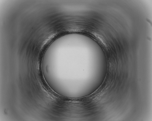 X0000091180539200708161519