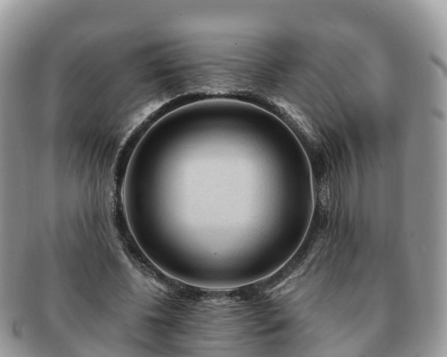 X0000091180540200708161520