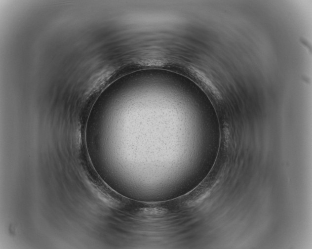 X0000091180541200708161520