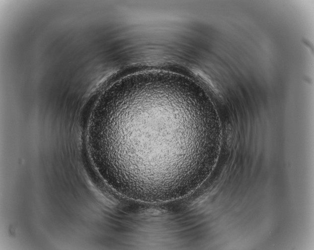X0000091180542200708161520