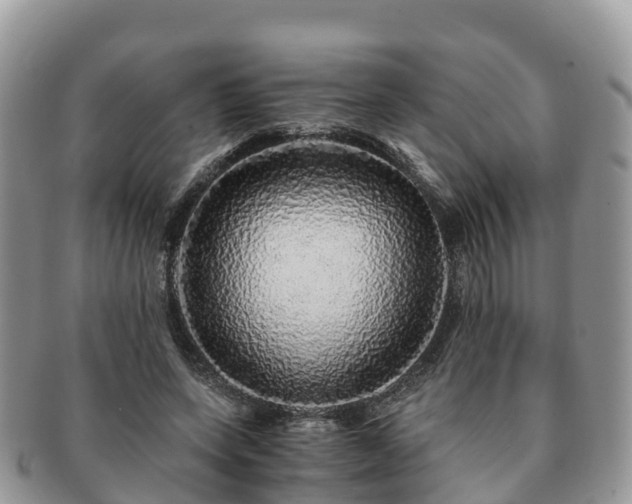 X0000091180543200708161520
