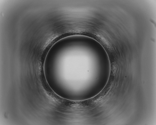 X0000091180544200708161520