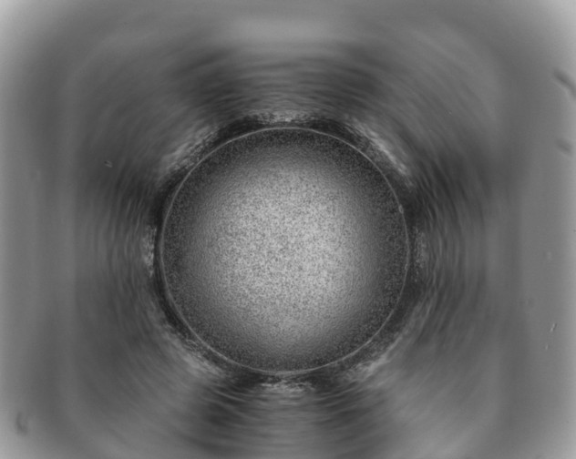 X0000091180545200708161520